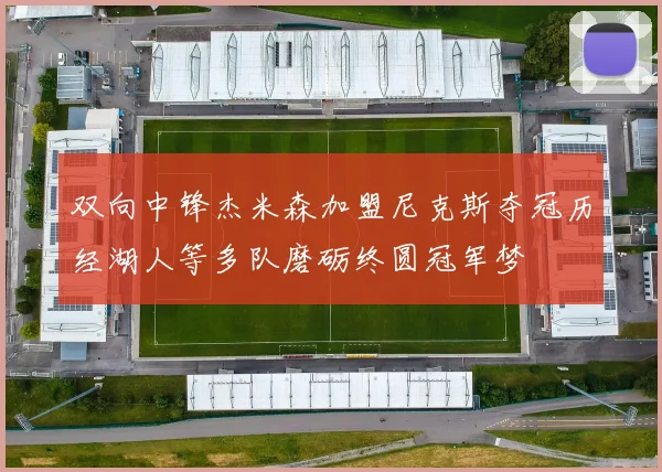 双向中锋杰米森加盟尼克斯夺冠历经湖人等多队磨砺终圆冠军梦